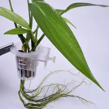 2Pcs שימושי צמח מים כוס שאינו יורד במים-צמחים גדלו חסון עיצוב Aquascape אקווריום צמח בעל