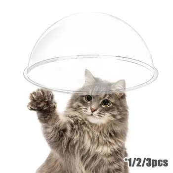 1/2/3pcs שקוף חתול קינים חתול מטפס מסגרות אקריליק המיספרי לכסות שטח כמוסה DIY חומר חתול צעצוע לתפוס את הלוח