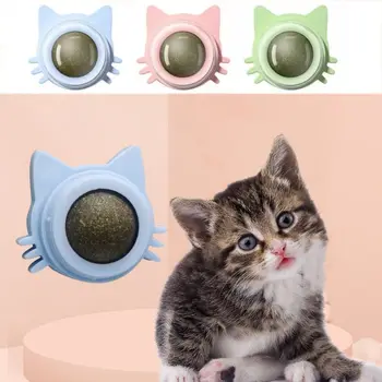 חתולים חתולים סוכריה על מקל פלסטיק דביק חתול מנטה על הקיר חתול בצורת חתלתול כדור אנרגיה ממתקים חטיפים לניקוי שיניים