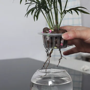 אביזרים נטיעת Baske פלסטיק שקוף 10pcs הידרופוני אקווריום להכניס נטו שיבוט סל צמיחת הצמחים